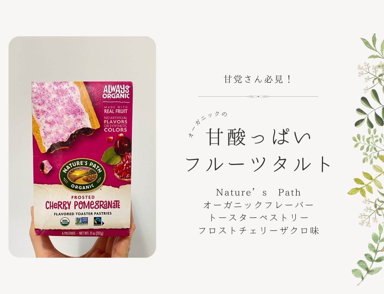 【アイハーブ】Nature's Path（ネイチャーズパス）のトースターペストリーは甘党にぴったりなオーガニックスイーツ